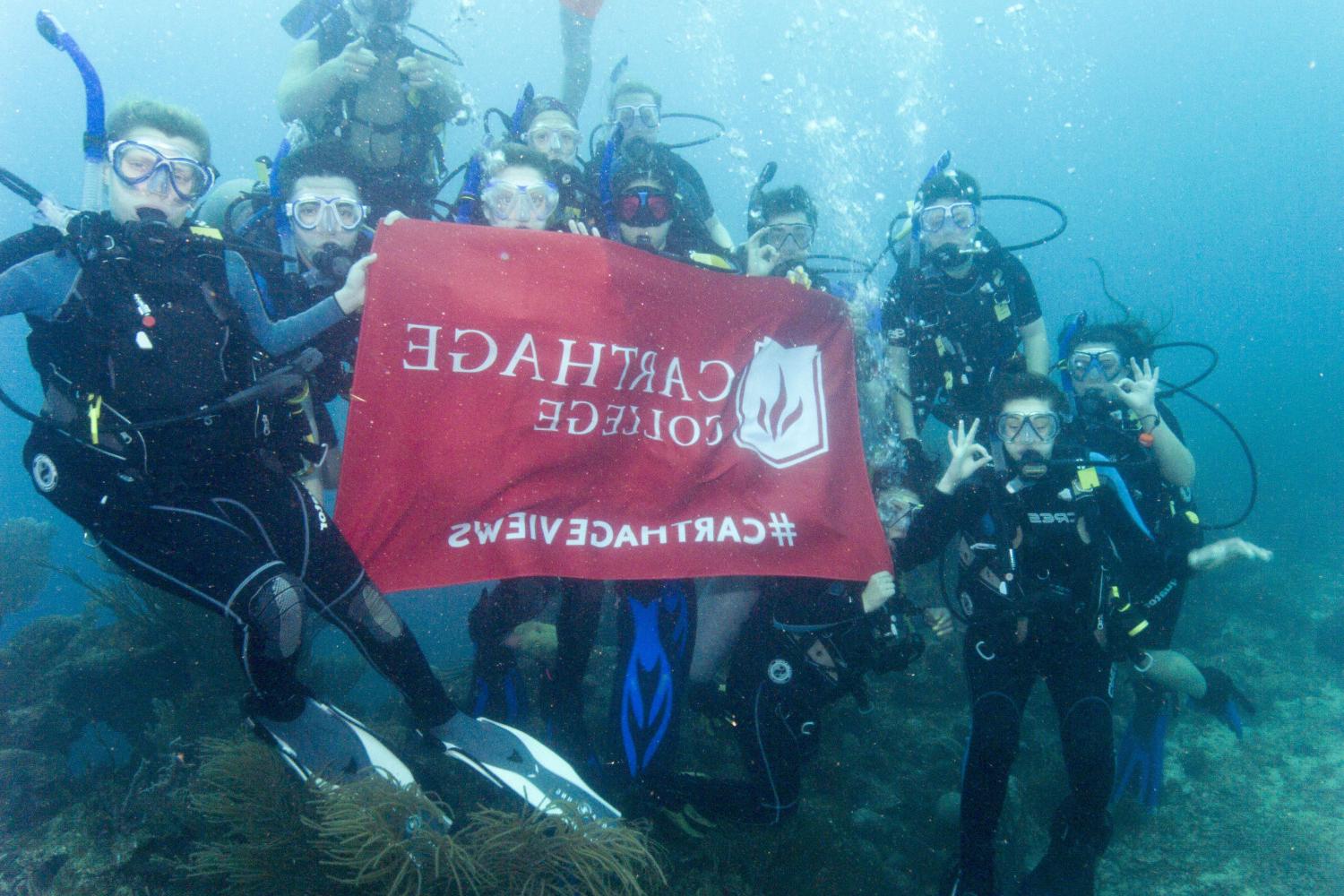 学生们手持<a href='http://evce.ngskmc-eis.net'>bv伟德ios下载</a>旗帜，在j学期洪都拉斯游学之旅中潜水.